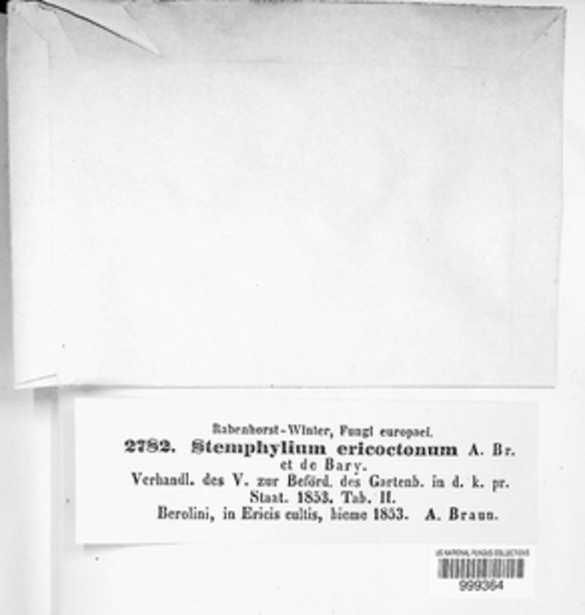 Stemphylium ericoctonum image